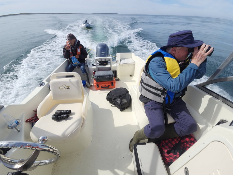 Towing the Zodiac from Round Island to Flat Island